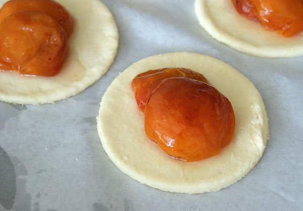apricot-tart-dough-with-apricot
