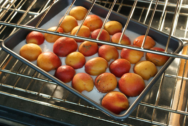 apricot-tart-roasting-apricots