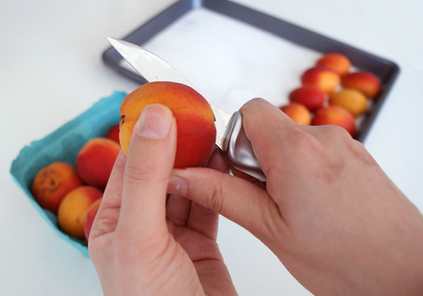 apricot-tart-splitting
