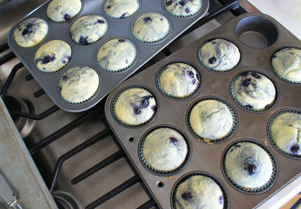 blueberry-cupcakes-baked