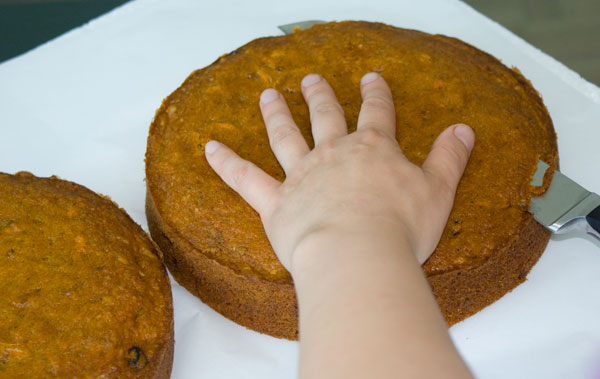 carrot-cake-shave-cake