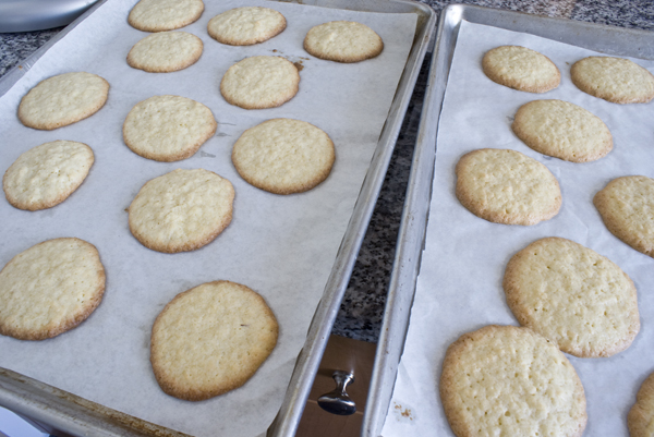 coconut-cookie-baked