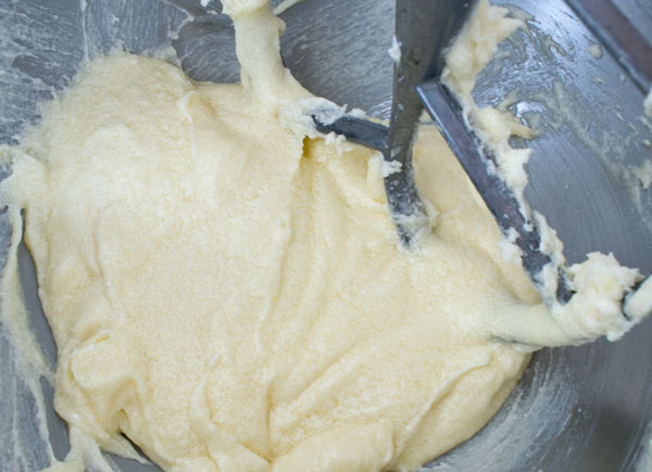 coconut-cookie-eggs-added