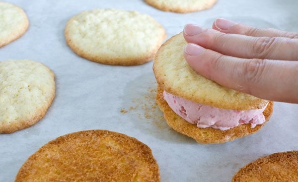 coconut-cookie-ice-cream-sandwich