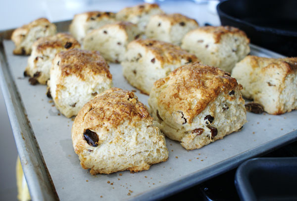 raisin-scones-baked