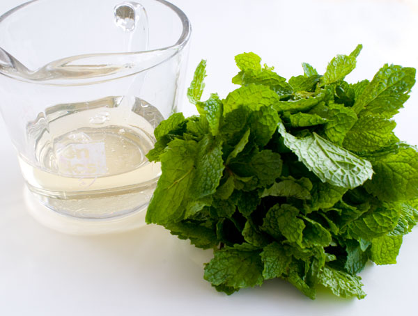 mint-syrup-ingredients