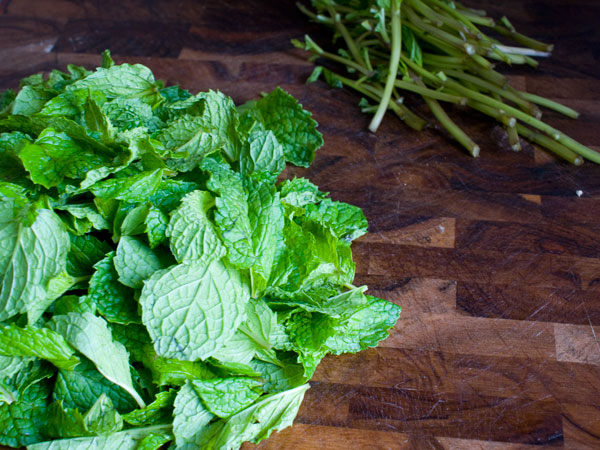 mint-syrup-pick-leaves