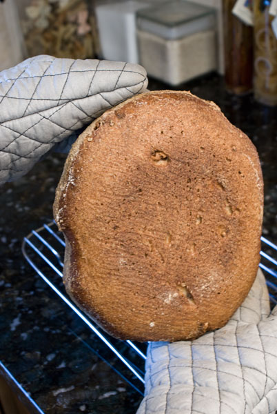 farmers-baked-underside